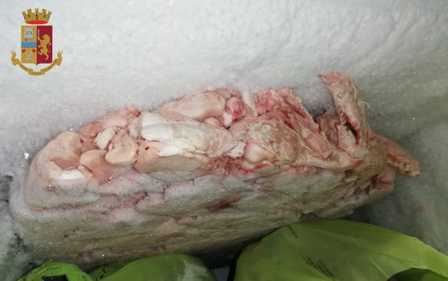 Ristorante da incubo nel torinese: 200 chili di alimenti “horror”