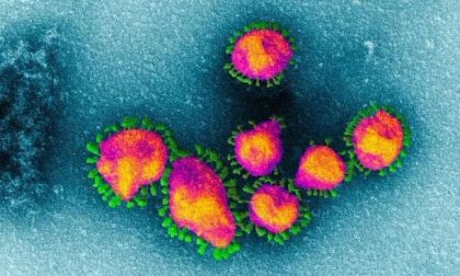 Coronavirus, primo caso sospetto nel Tigullio