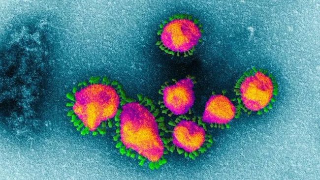 Coronavirus, primo caso sospetto nel Tigullio