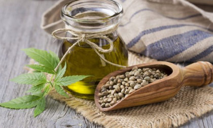 Via libera agli alimenti derivati dalla canapa