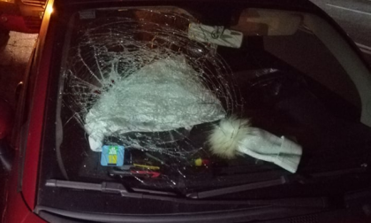 Si salva dopo un incidente tremendo col cinghiale a Paruzzaro