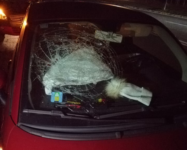 Si salva dopo un incidente tremendo col cinghiale a Paruzzaro