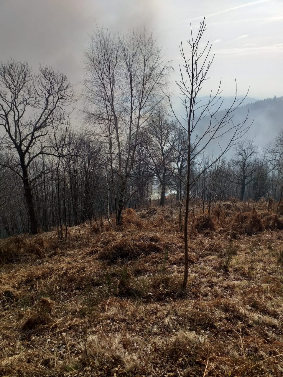 Pompieri in azione al mottarone ad Armeno