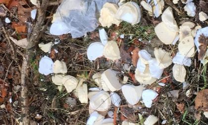 Borgosesia calchi di protesi per denti buttate nel bosco