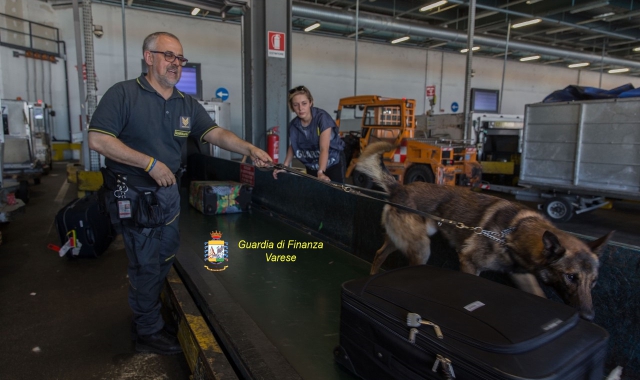 Maga portoghese trasportava in valigia cinque chili di cocaina
