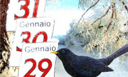 Questi sono i giorni nella Merla, ma il clima è mite e farà ancora più caldo
