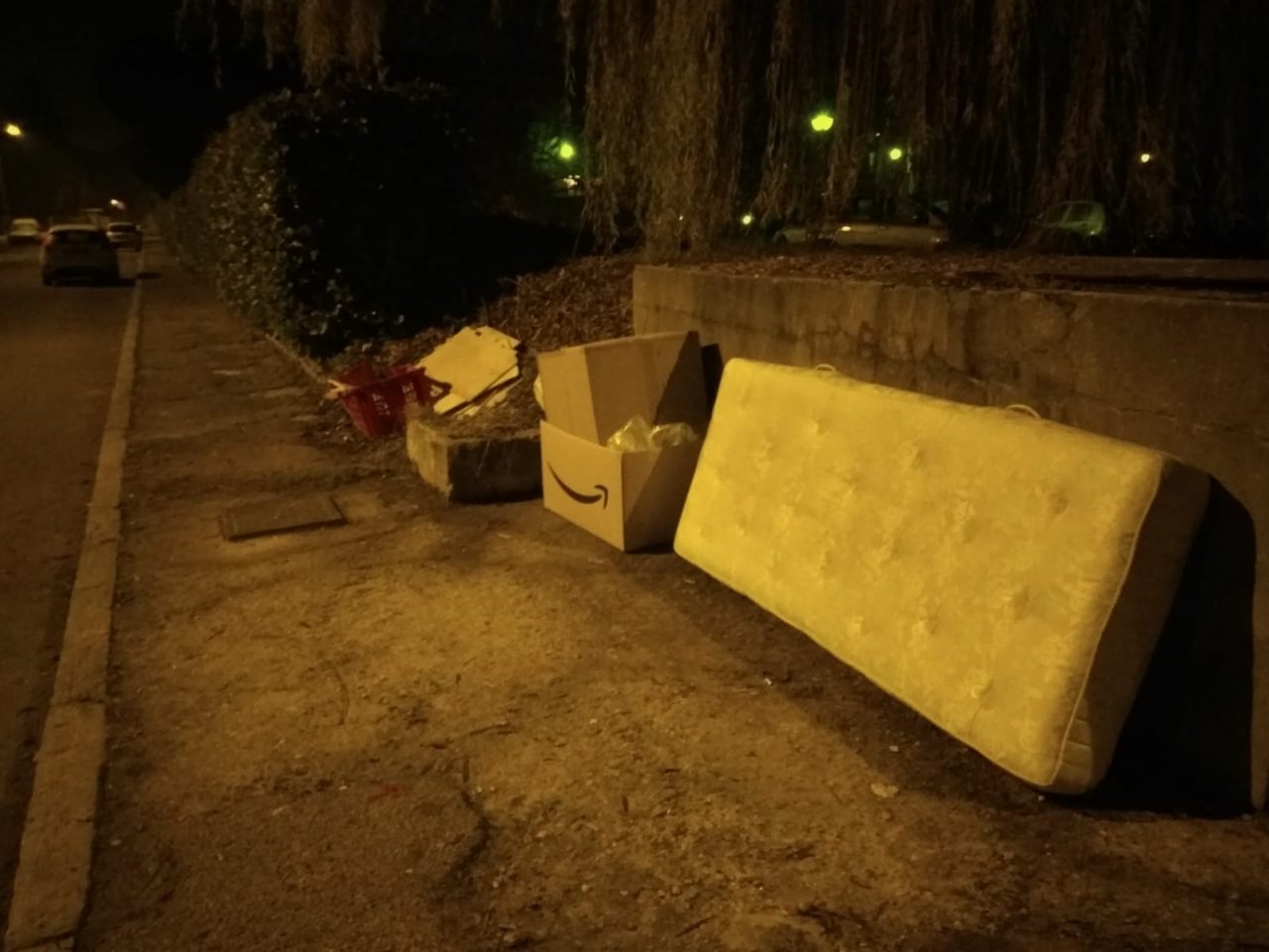 Novara, “beccati” altri insozzatori