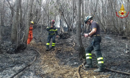 Bosco in fiamme a Bolzano Novarese, denuncia e maxi multa all’incendiario