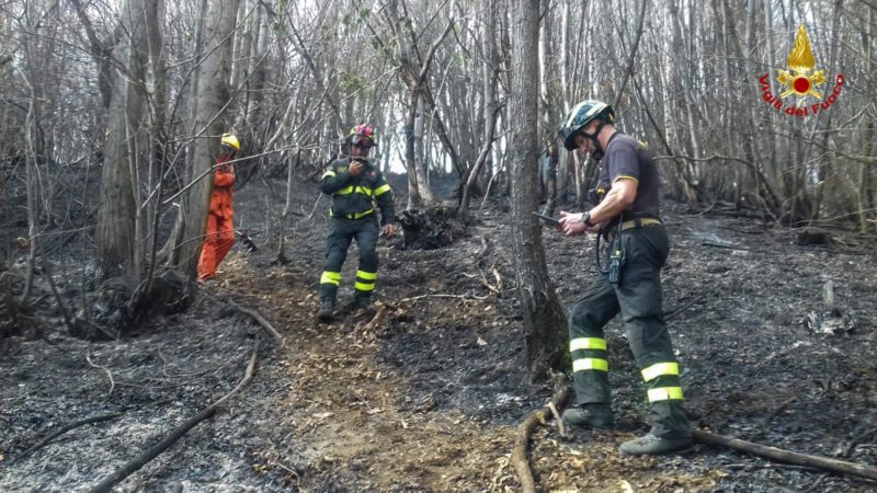 Bosco in fiamme a Bolzano Novarese, denuncia e maxi multa all’incendiario