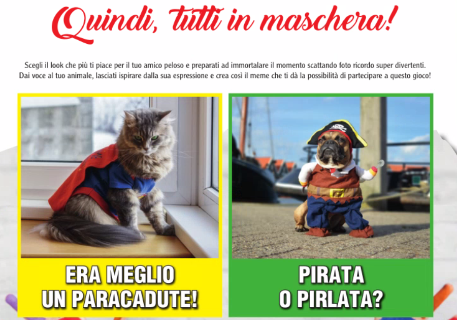 Animali in maschera: mandateci le foto divertenti dei vostri amici pelosi