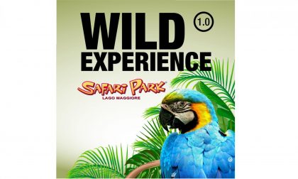 Safari Park: questo weekend sconto del 50%