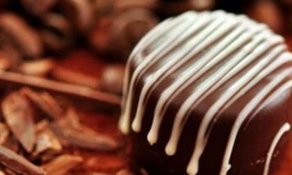 Allarme Ue: famosi cioccolatini al brandy contaminati da salmonella