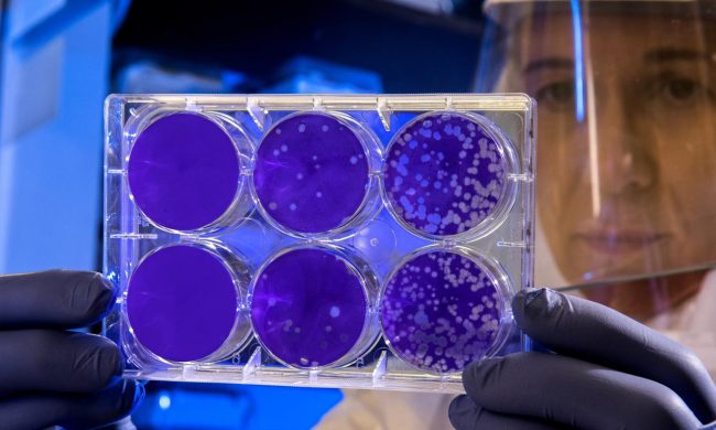 Coronavirus Piemonte: ristorazione ed estetica in difficoltà