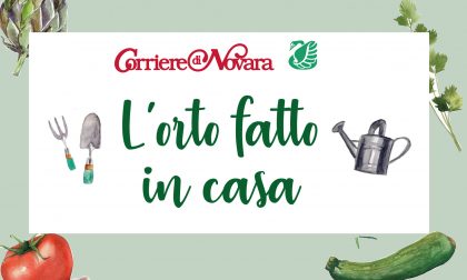 Il Corriere di Novara ti regala l'orto fatto in casa