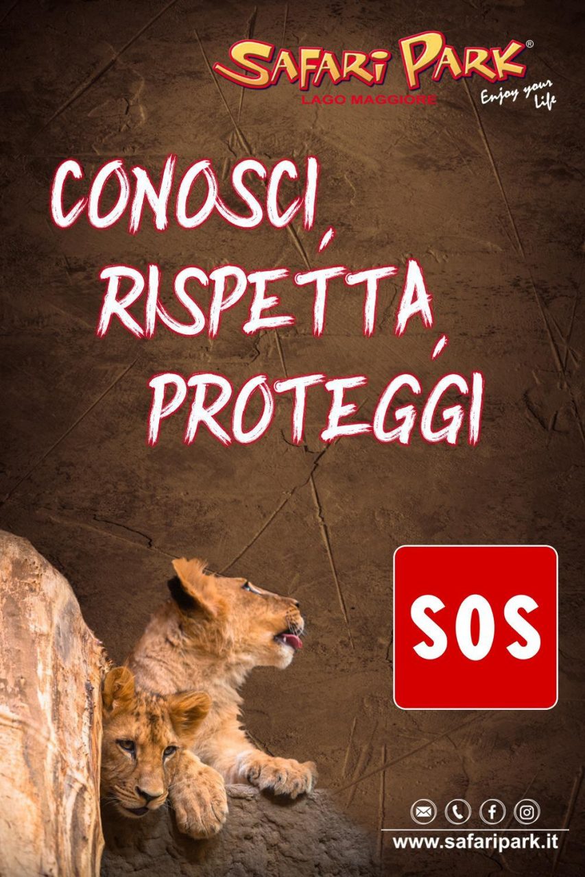 Safari Park lancia il suo SOS: “Siamo in difficoltà, aiutateci”