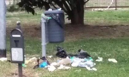 Cestini stracolmi e corvi per le strade di Arona