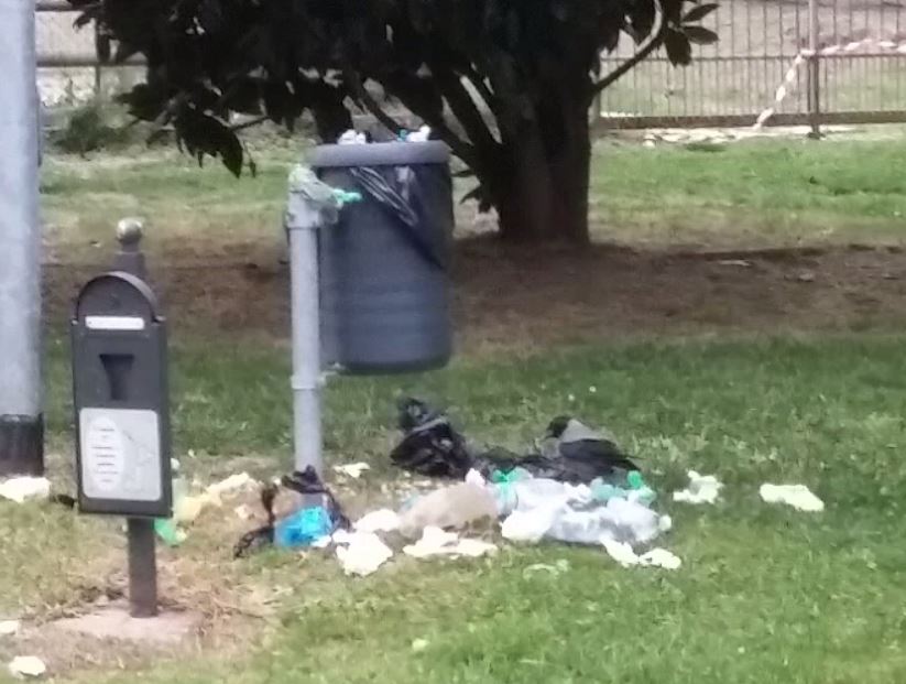Cestini stracolmi e corvi per le strade di Arona