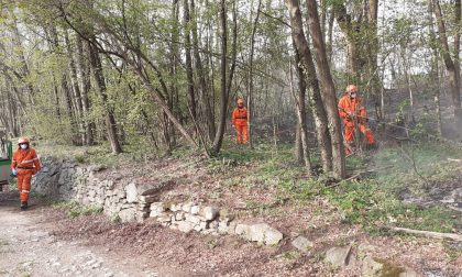 Incendio a Invorio: 9 operatori e due automezzi in campo