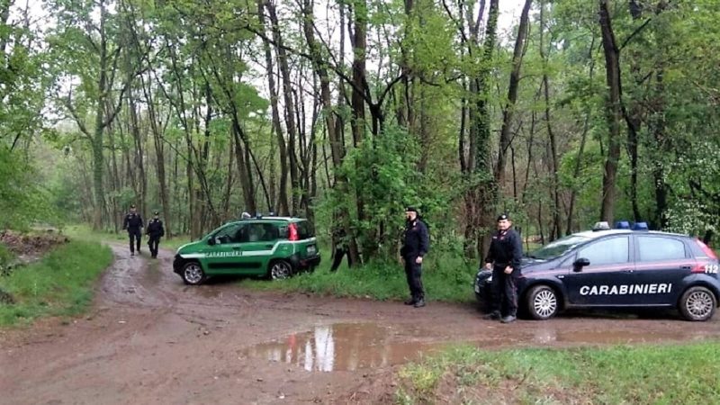 Arrestato spacciatore marocchino: droga nei boschi di Ghemme