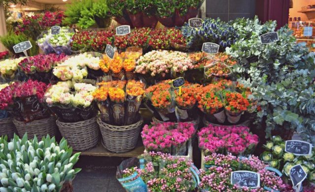 Da oggi i fioristi possono riaprire