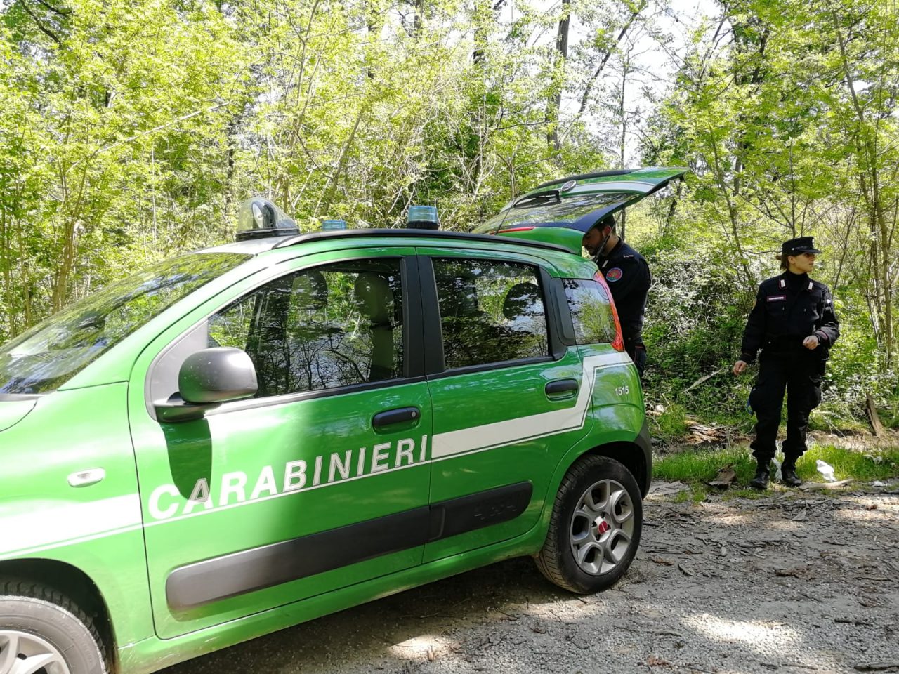 Incendio boschivo a Fontaneto, individuato il responsabile: è un apicoltore