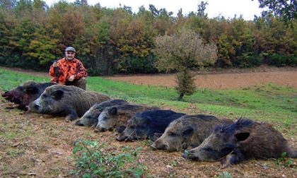 Caccia al cinghiale riparte: il via libera della Regione