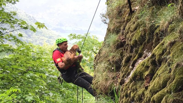Tre cani da caccia salvati dal Soccorso alpino