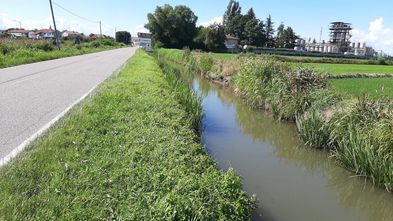 Tornaco finisce con l’auto nel canale e muore