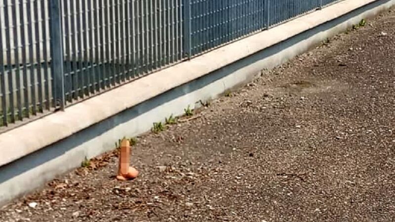 Guardie ambientali chiamate a recuperare un sex toy