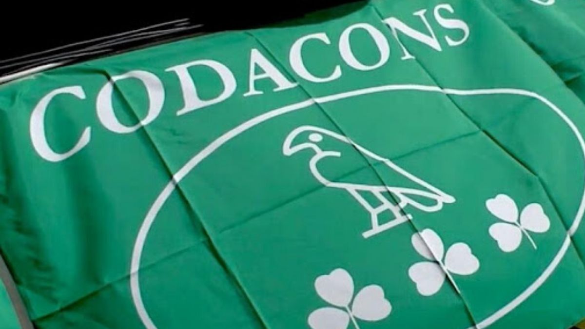 Codacons sulla pista ciclabile a Veveri: “Comune faccia di più per l’ambiente”