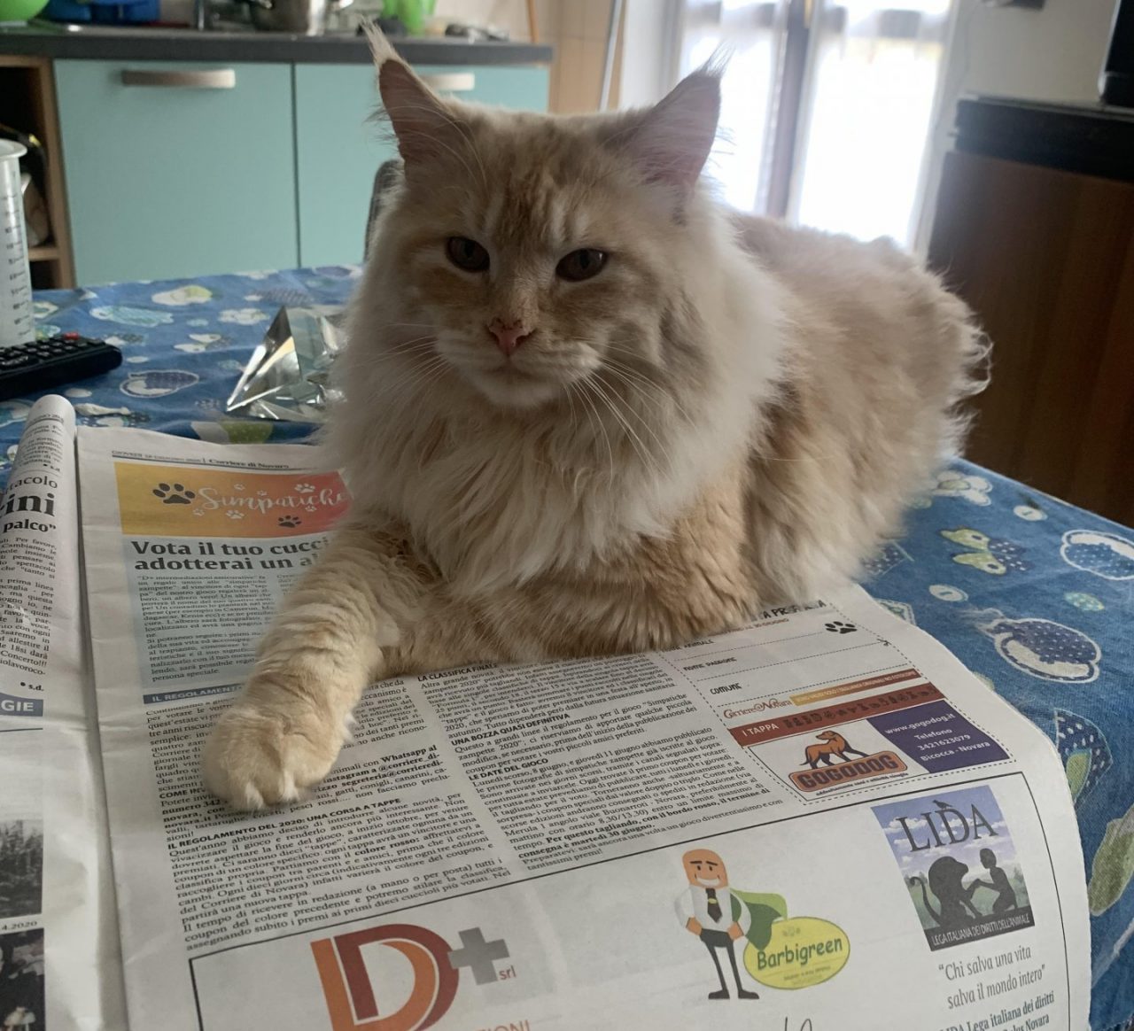 Vota il tuo cucciolo e adotterai un albero