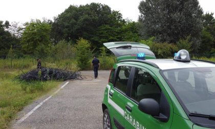 Sequestrati 10 metri cubi di rifiuti pericolosi e 200 pneumatici