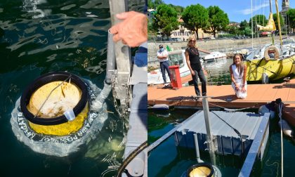 Lesa posizionato “Seabin”: speciale cestino di raccolta dei rifiuti galleggianti