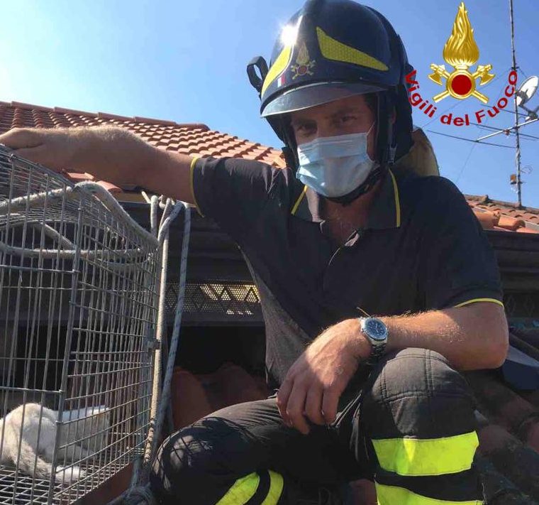 I vigili del fuoco di Borgomanero hanno salvato un gattino intrappolato FOTO