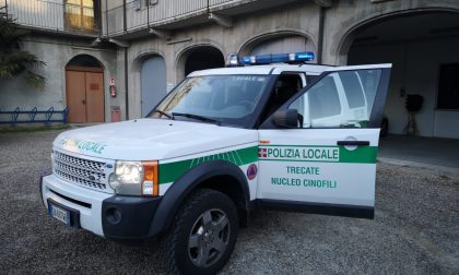 Violenza sessuale in casa: le urla mettono in allarme una vicina