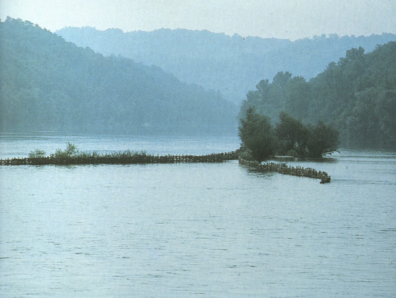 La Regione lancia due bandi da 12 milioni per tutelare i fiumi