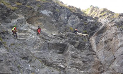 Soccorso Alpino salva 10 pecore bloccate su una parete rocciosa