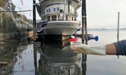 Lungolago Arona: “Uno dei punti più inquinati dei laghi italiani”