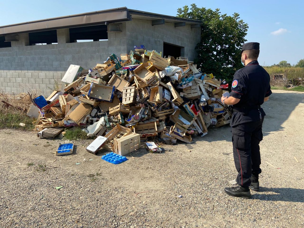 Discarica illegale a Novara: i carabinieri trovano anche delle testuggini protette