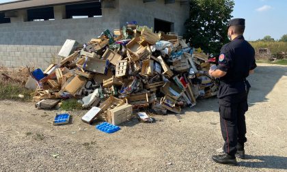 Discarica illegale a Novara: i carabinieri trovano anche delle testuggini protette