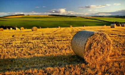 Qualità dell'aria, Confagricoltura Piemonte: "La Regione accolga subito le nostre richieste"