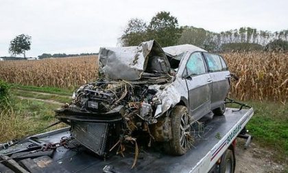 Calciatori morti in A26 a causa dei cinghiali: dopo la Lega, anche Coldiretti non chiude gli occhi sul problema