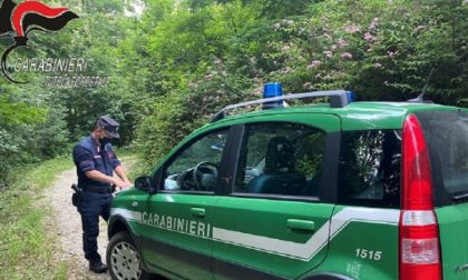 Controlli di Arpa Piemonte e Carabinieri Forestali sulle derivazioni idriche di fiumi e torrenti