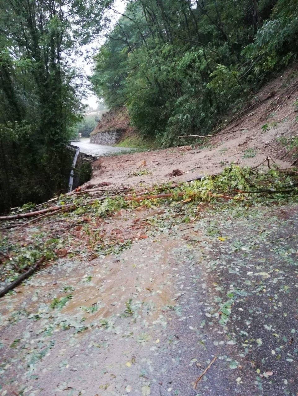 Frana sulla provinciale Pogno Alzo: strada chiusa