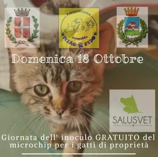 Trecate domenica sarà possibile microchippare gratuitamente il proprio gatto
