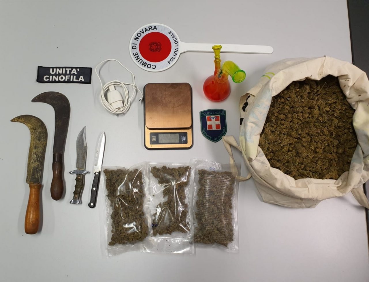 Novara dà in escandescenza contro la polizia locale: Tso per un trentenne