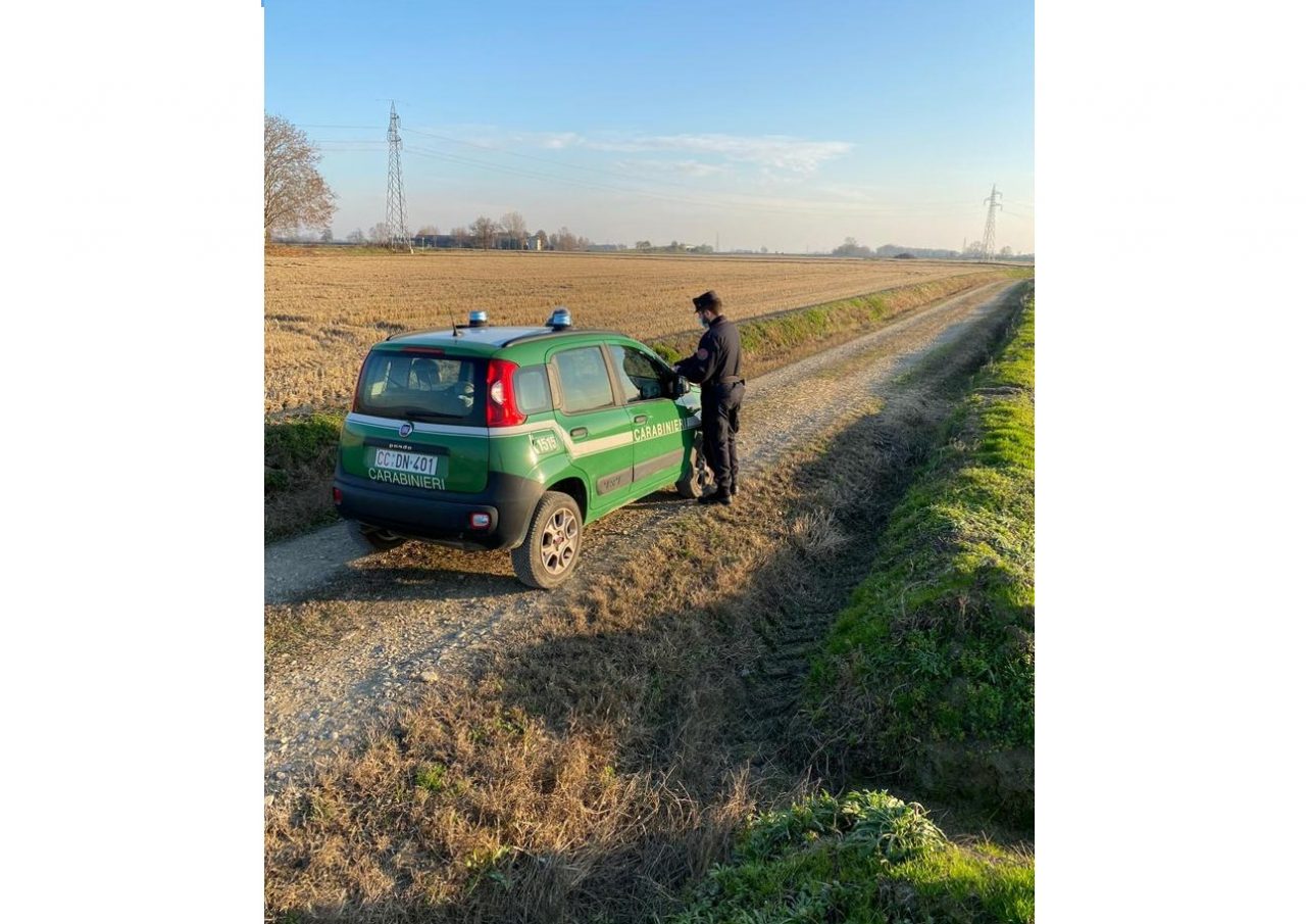 Motocross illegale tra le risaie: sequestrate 3 moto e 2400 euro di multe