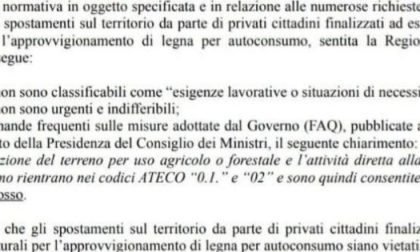 Covid, vietato andare nei boschi a tagliare legna