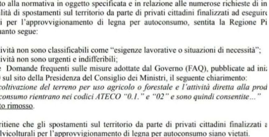 Covid, vietato andare nei boschi a tagliare legna