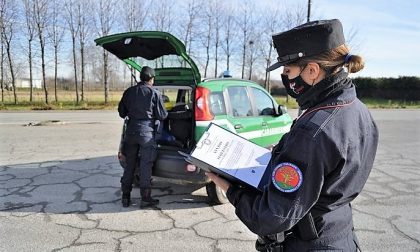Cava abusiva riempita con fanghi lungo il Sesia: sequestro a Romagnano